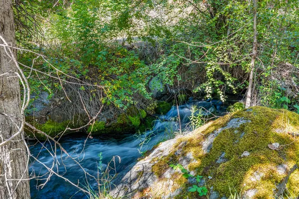 $1,300,000 | 192 East Shingle Creek Road, Riggins, ID 83549