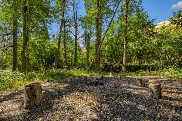 $1,300,000 | 192 East Shingle Creek Road, Riggins, ID 83549