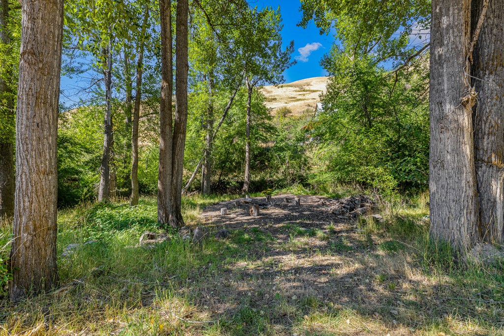 192 East Shingle Creek Road Riggins, ID 83549 - Photo 6 of 76