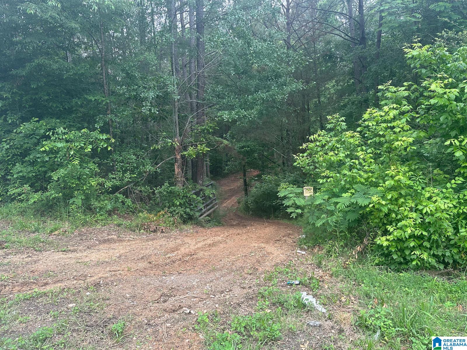 3003 Acmar Road Moody, AL 35004 - Photo 7 of 13 Gallery Image 7