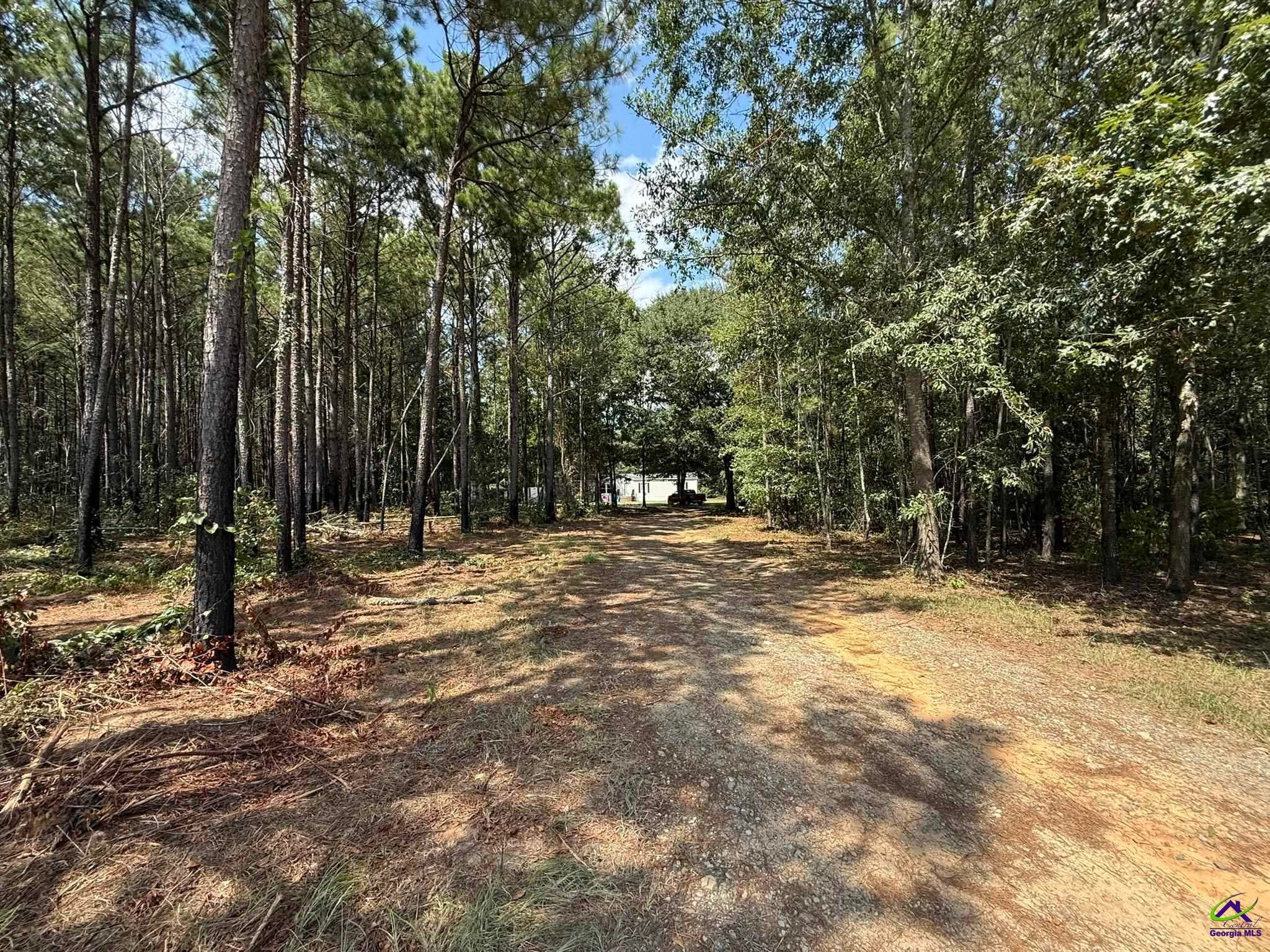 124 North County Line Road Unadilla, GA 31091 - Photo 48 of 49 Gallery Image 48