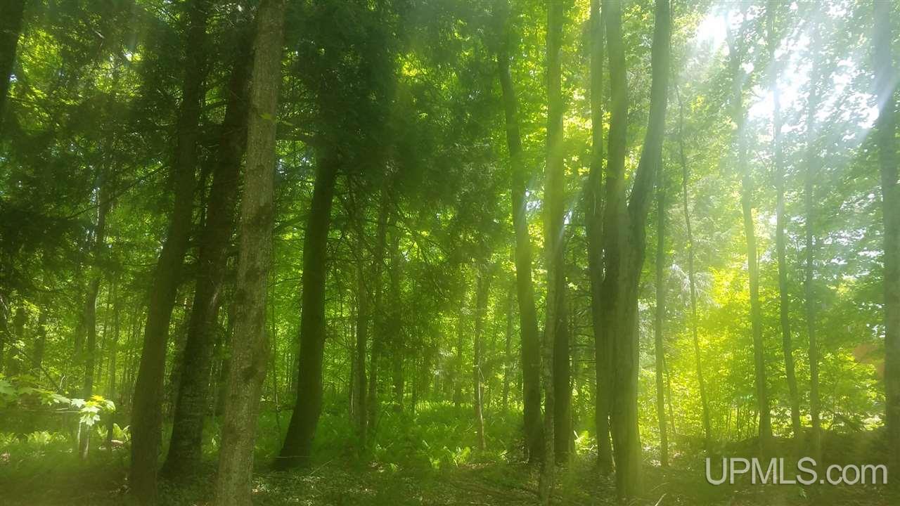 N2296 Co Road Marquette, MI 49855 - Photo 6 of 29