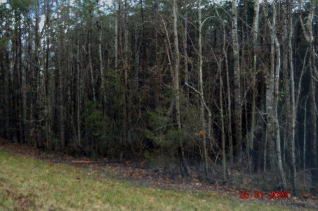 665 Darlington Heights Road Cullen, VA 23934 - Photo 6 of 10 Gallery Image 6