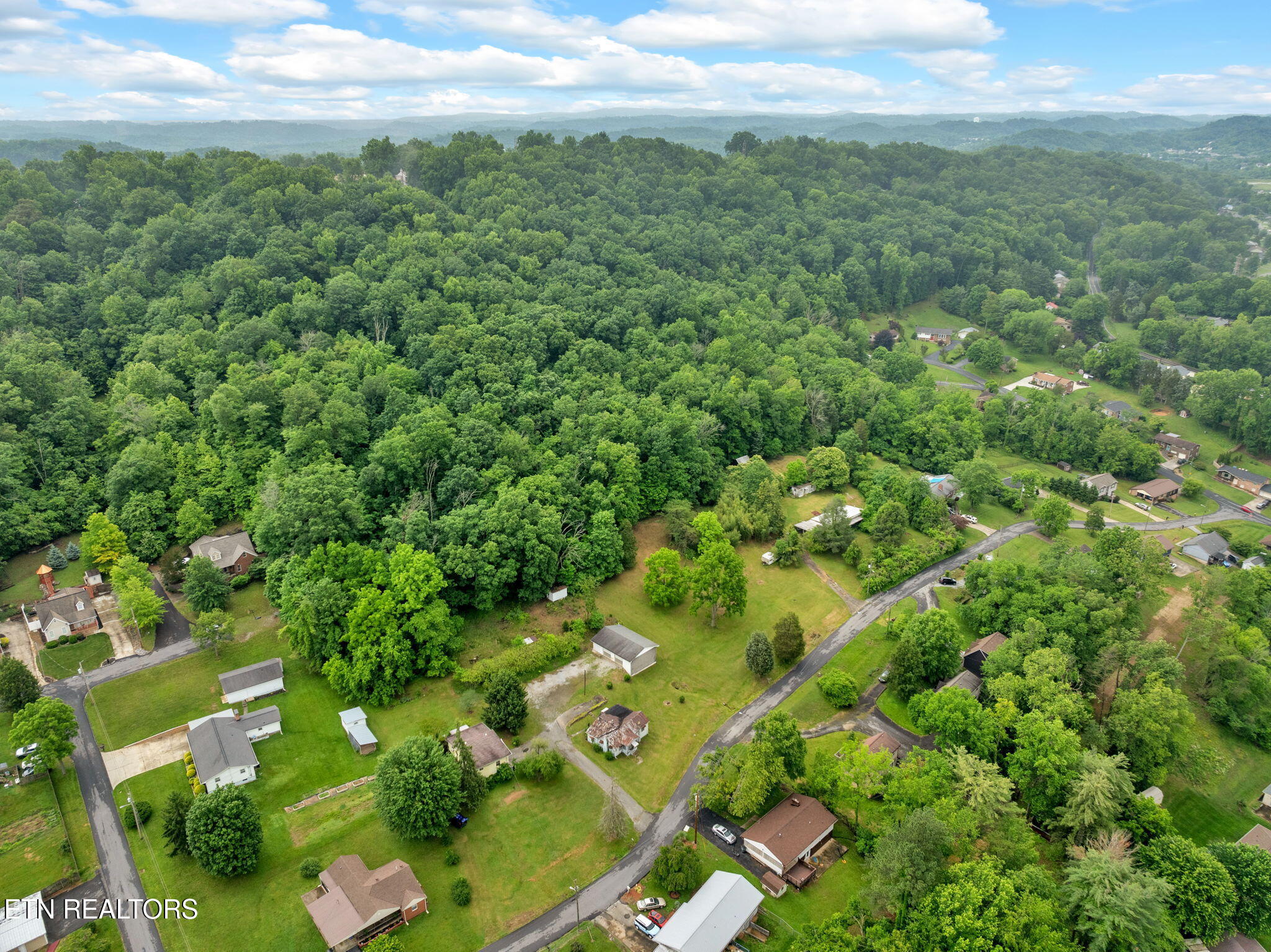 1688 Ridgeway Drive Kingsport, TN 37664 - Photo 6 of 8 8-web-or-mls-JH 20250529-022