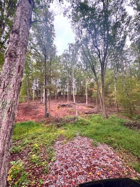 4142 Bradshaw Road Salem, VA 24153 - Photo 2 of 2 image