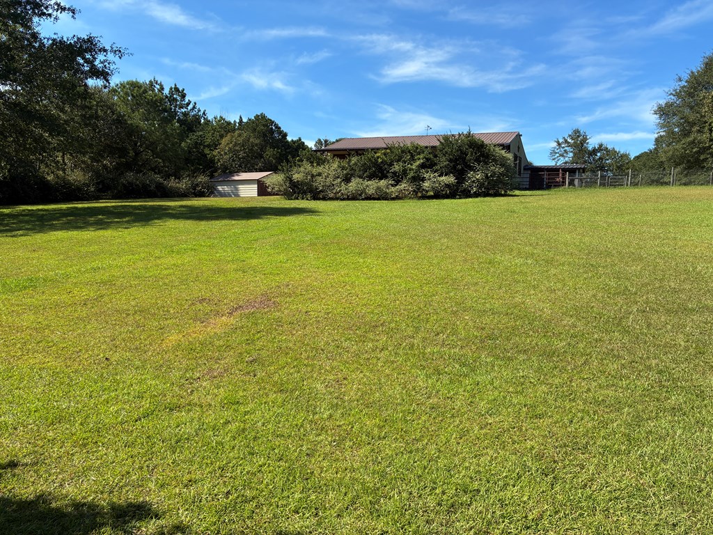 1602 County Road 50 Abbeville, AL 36310 - Photo 37 of 61 Backyard