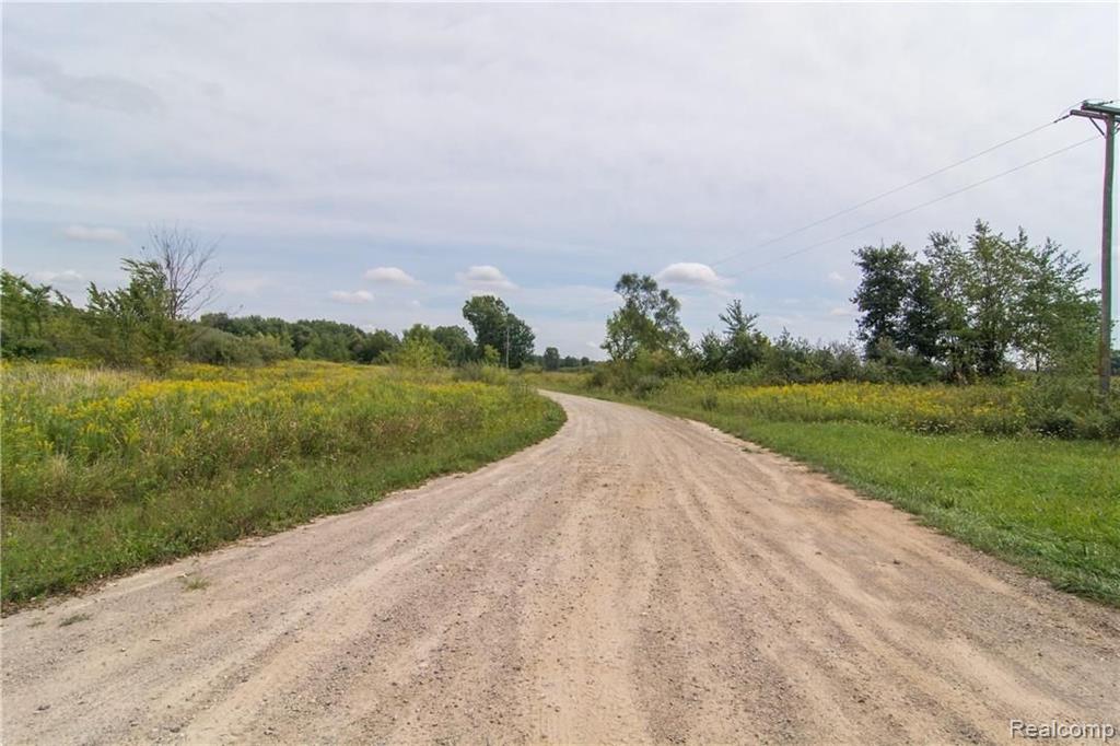 0 South Gregory Road Fowlerville, MI 48836 - Photo 12 of 26
