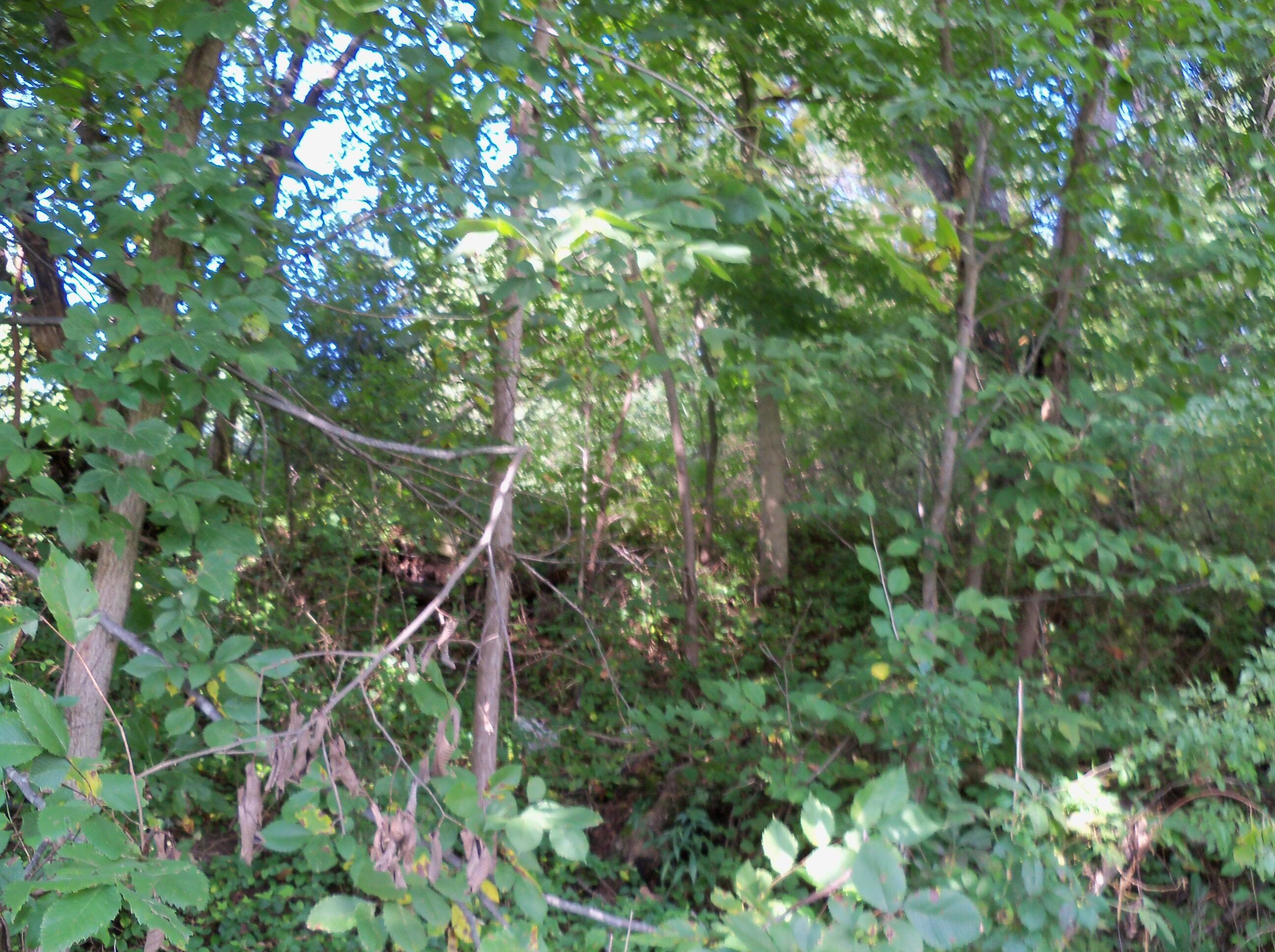 2950 Meister Road Southwest Lancaster, OH 43130 - Photo 6 of 14 100_6458