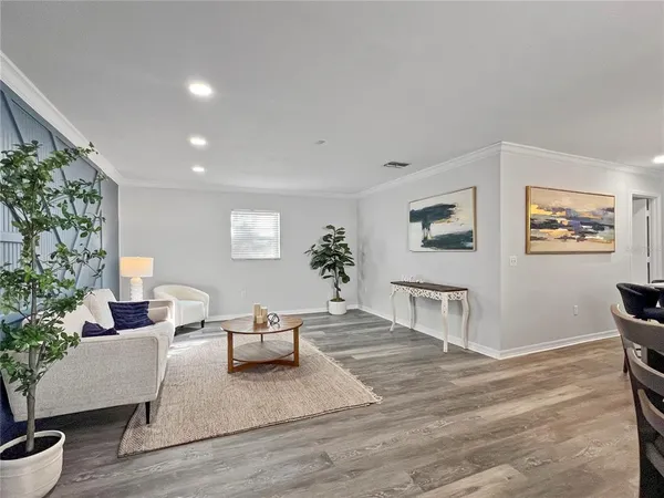 a living room with furniture and a potted plant