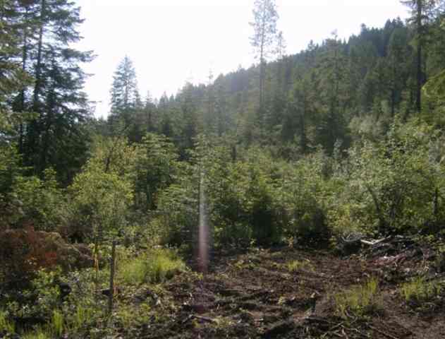 Xx Red Marble Road, Unit LOT #4 Valley, WA 99181 - Photo 1 of 7