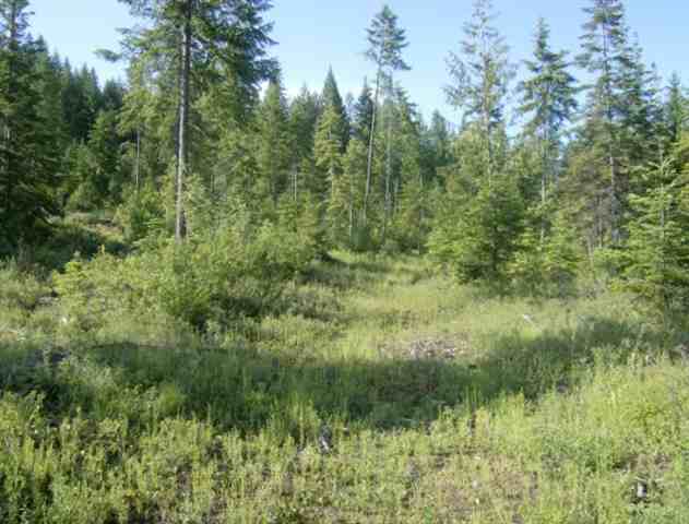 Xx Red Marble Road, Unit LOT #4 Valley, WA 99181 - Photo 2 of 7