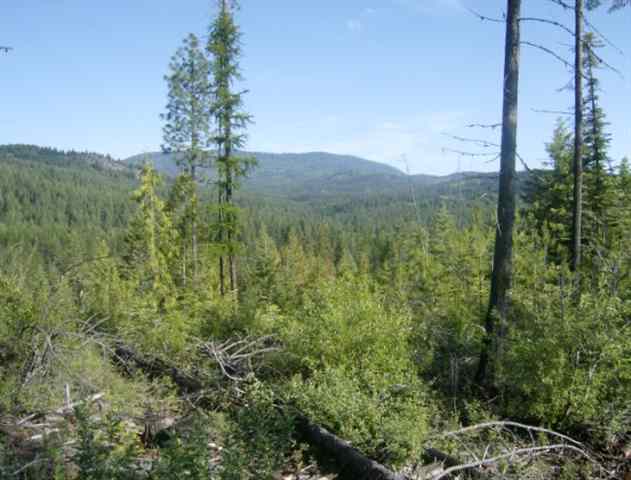 Xx Red Marble Road, Unit LOT #4 Valley, WA 99181 - Photo 3 of 7