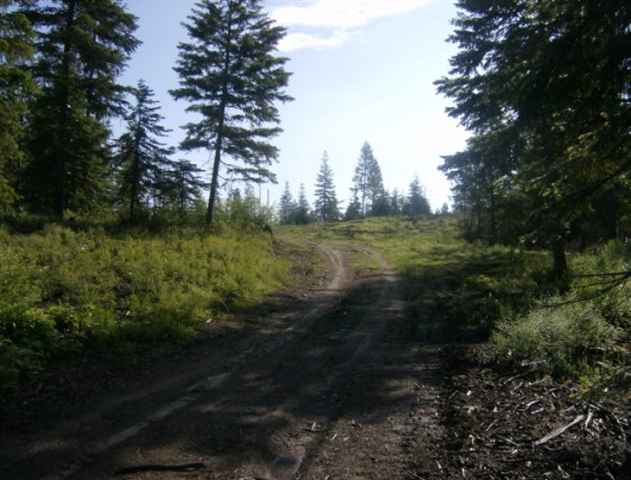 Xx Red Marble Road, Unit LOT #4 Valley, WA 99181 - Photo 4 of 7