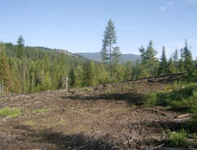 Xx Red Marble Road, Unit LOT #4 Valley, WA 99181 - Photo 5 of 7