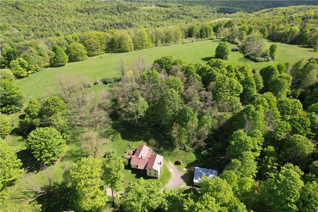 326 Park Hill Road Erin, NY 14838 - Photo 1 of 50