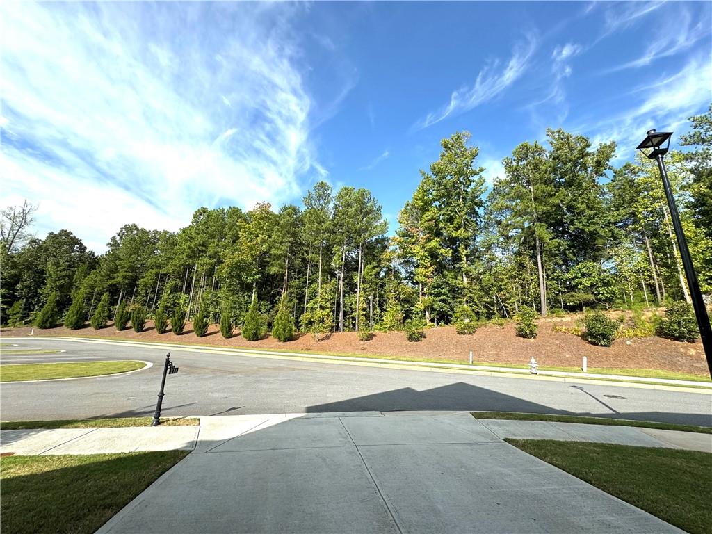 210 Hamlet Drive Duluth, GA 30097 - Photo 33 of 39 a view of a yard with a tree