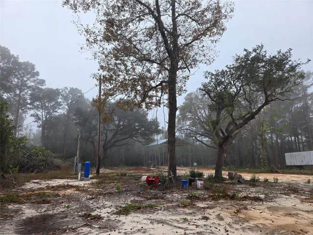 a backyard of a house with lots of green space