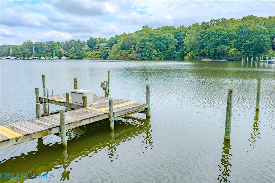 1614 Wilton Creek Road Hartfield, VA 23071 - Photo 54 of 68