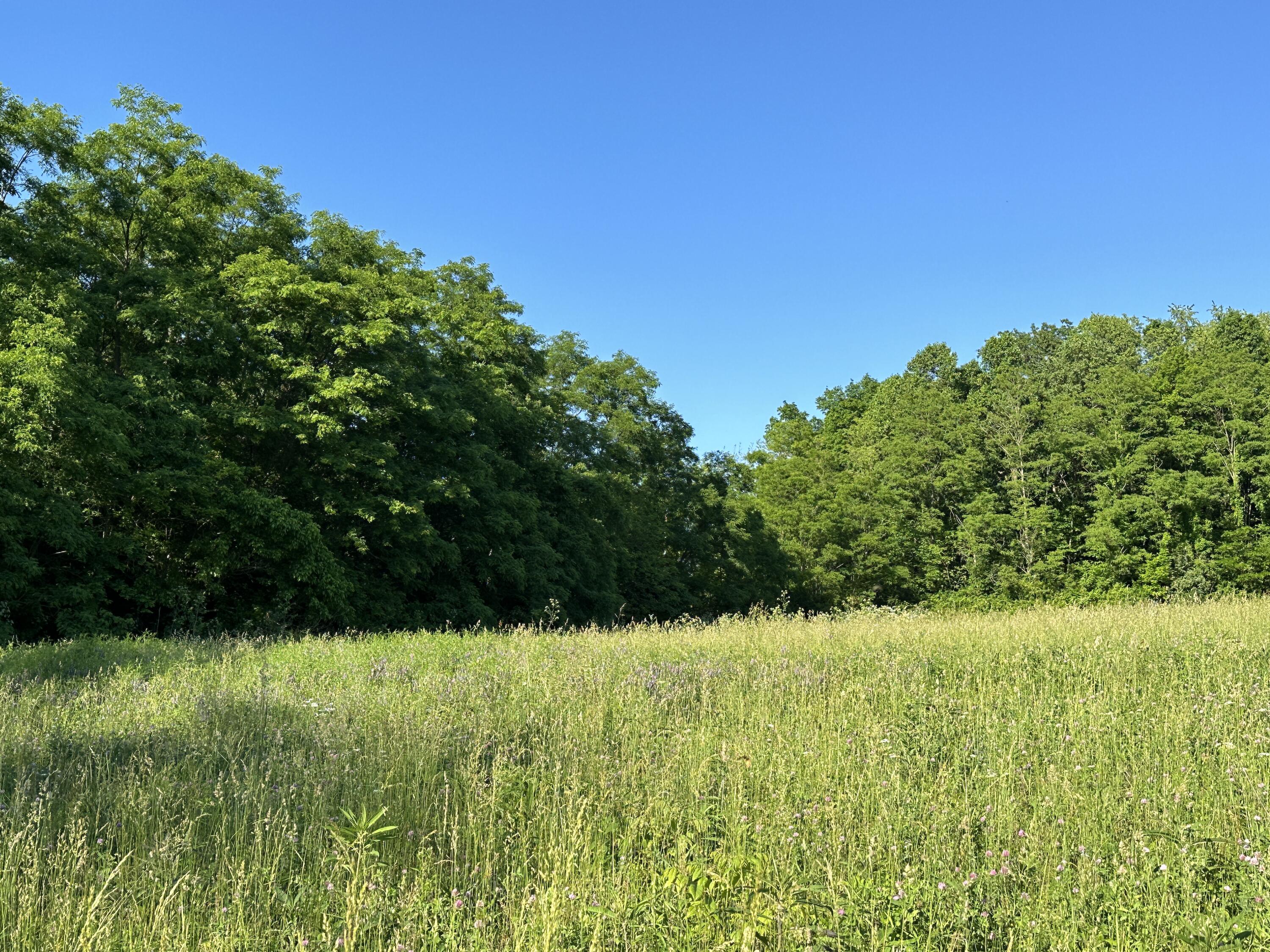 3 A Mint Ridge Carlisle, KY 40311 - Photo 7 of 7 6