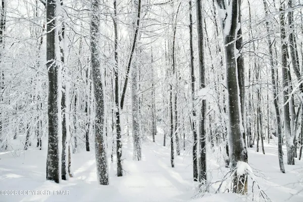 a view of covered with snow
