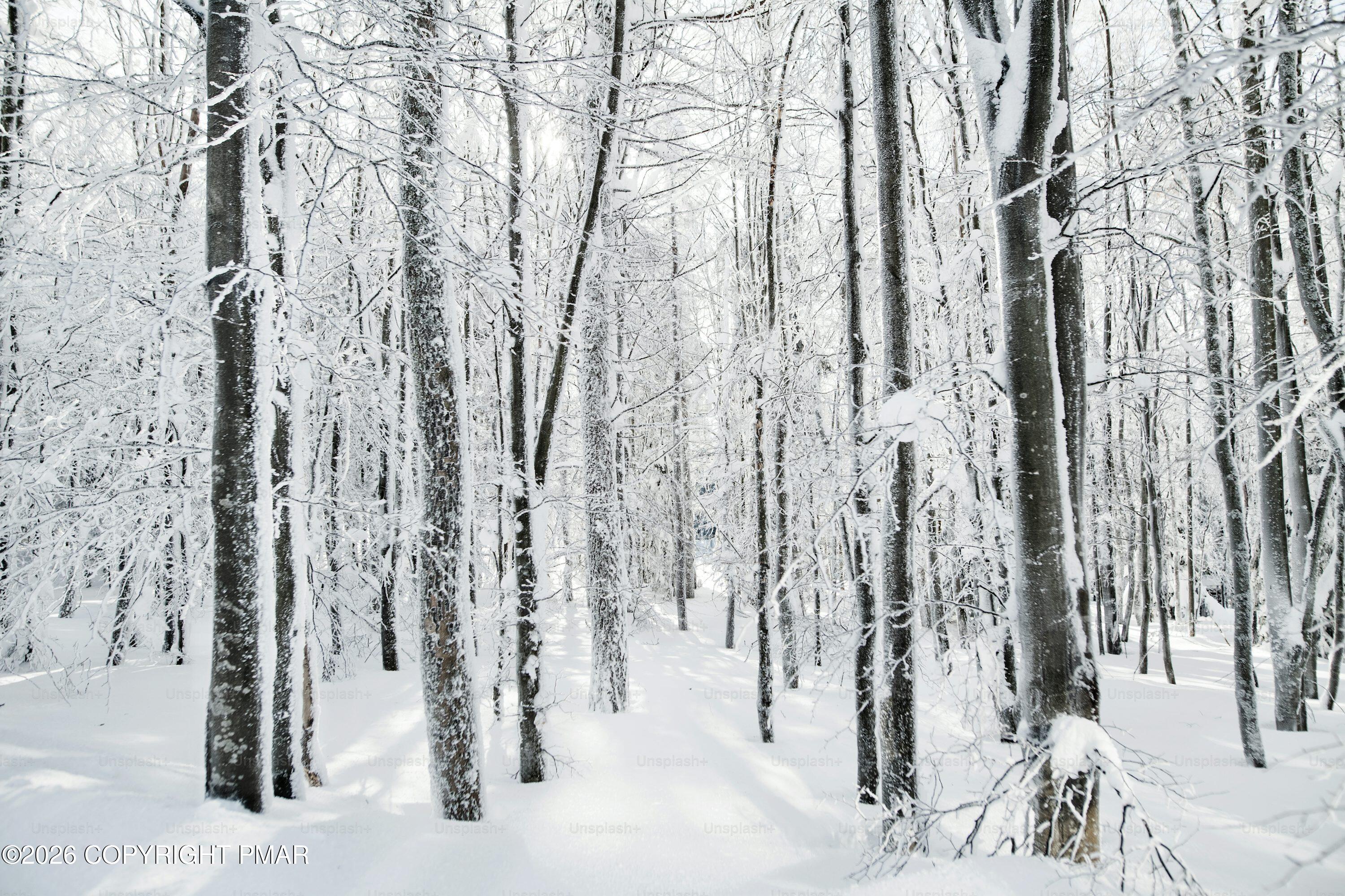 0 Whipporwill Drive Bushkill, PA 18324 - Photo 4 of 4 a view of covered with snow
