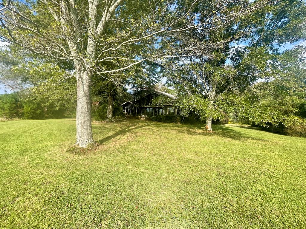 574 Old Chipley Road Pine Mountain, GA 31822 - Photo 53 of 61 Yard