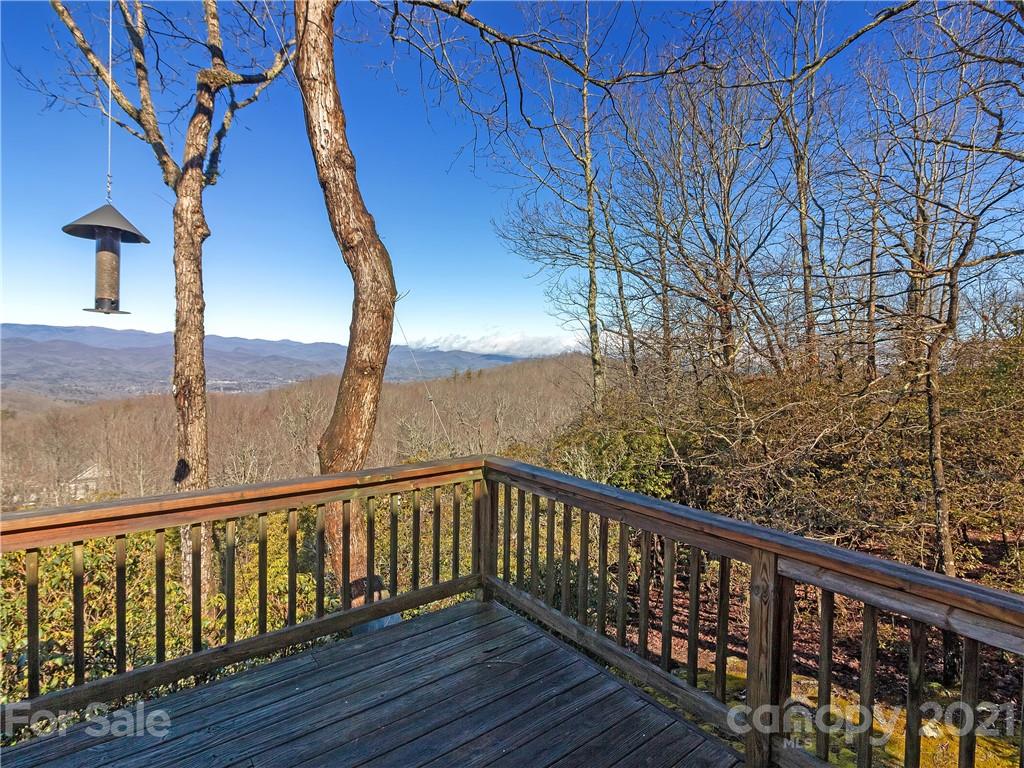 1506 Walnut Ridge Road Brevard, NC 28712 - Photo 20 of 48 Gallery Image 20