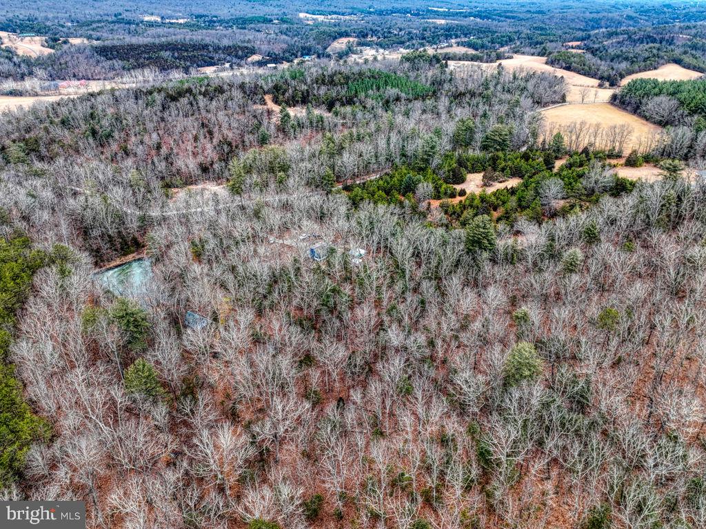 4992 St Davids Church Road Fort Valley, VA 22652 - Photo 33 of 40