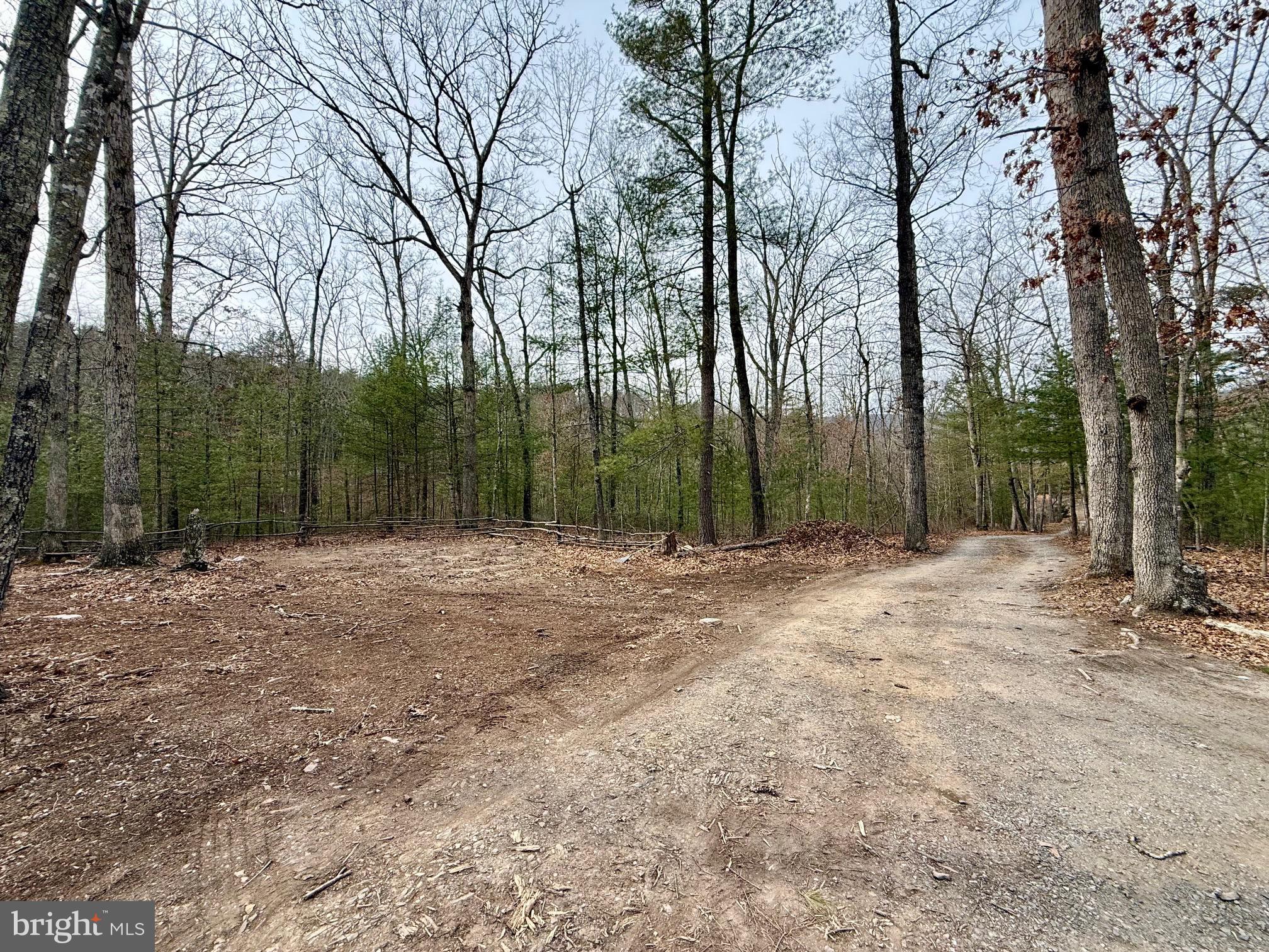 4992 St Davids Church Road Fort Valley, VA 22652 - Photo 39 of 40 a view of outdoor space with trees