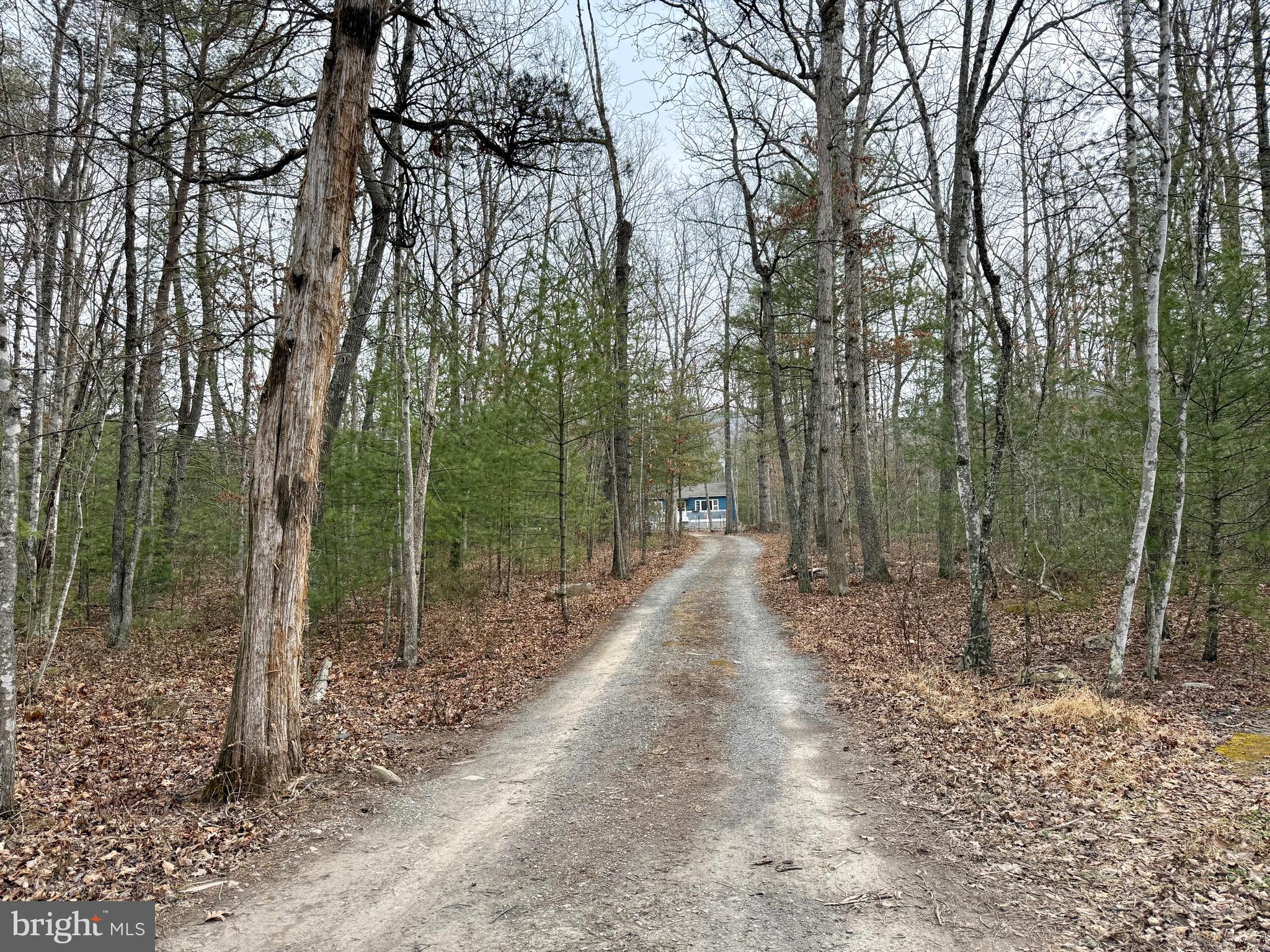 4992 St Davids Church Road Fort Valley, VA 22652 - Photo 39 of 40