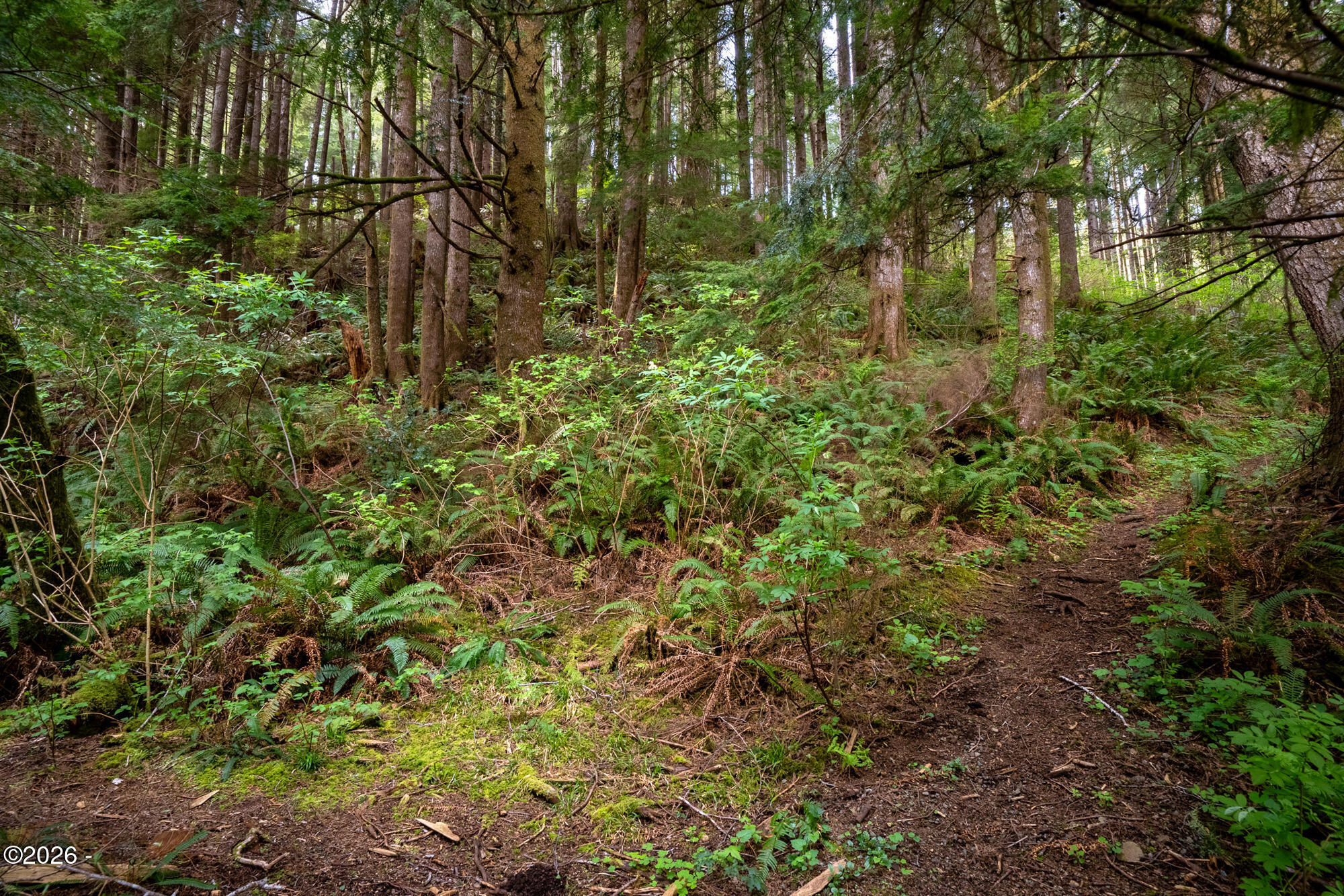 22800 Miami Foley Road Nehalem, OR 97131 - Photo 8 of 50 67_dsc09853-hdr
