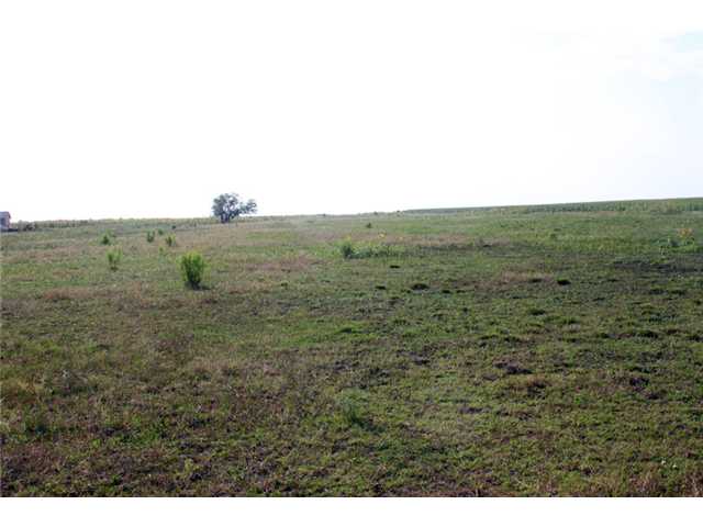 15638 Harry Lind Road Manor, TX 78653 - Photo 1 of 1 a view of outdoor space and yard