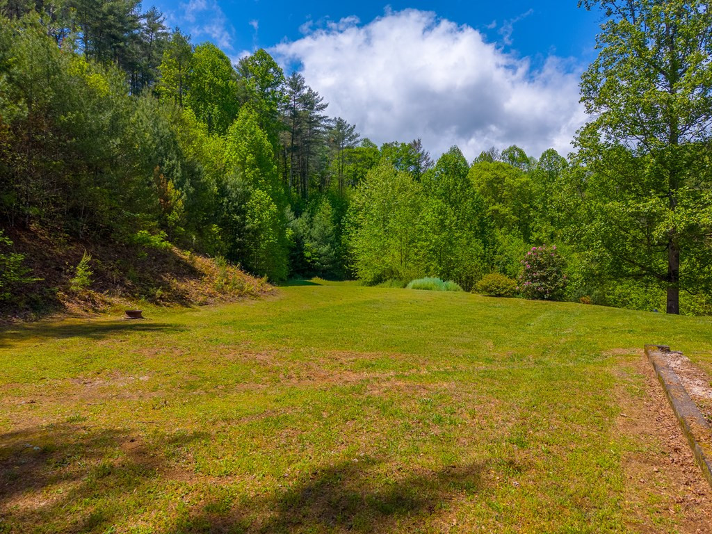 1364 Atoah Road Robbinsville, NC 28771 - Photo 47 of 71