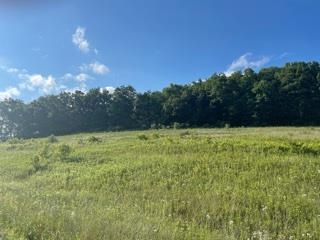 Lot 2 Pheasant Trl Ln  