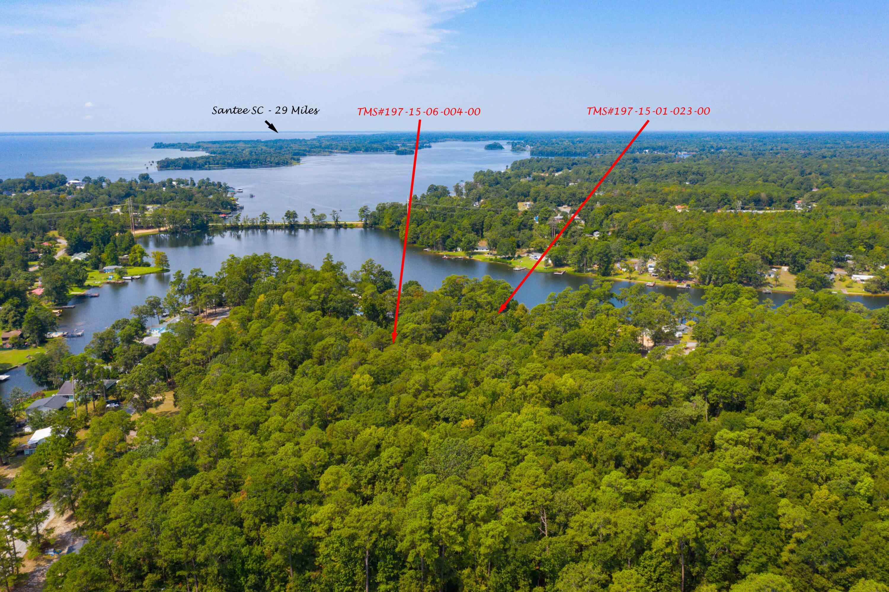 0 Delano Street Manning, SC 29102 - Photo 4 of 26 DJI_0853