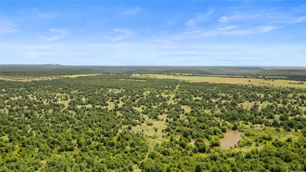 Tbd Berry Dairy Road Bryson, TX 76427 - Photo 29 of 39