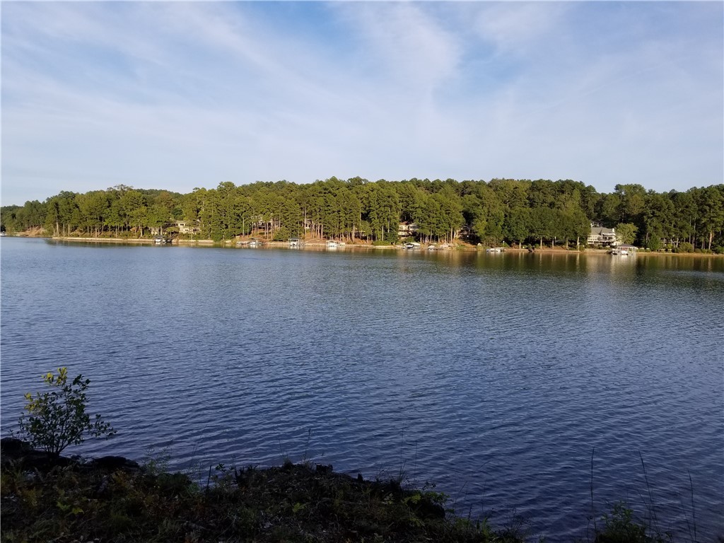 Lot 127-harbor Lot 127-harbor Point Harbor Ridge Road Seneca, SC 29672 - Photo 2 of 6 Gallery Image 2