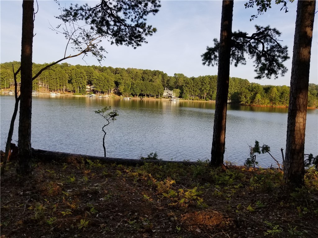 Lot 127-harbor Lot 127-harbor Point Harbor Ridge Road Seneca, SC 29672 - Photo 3 of 6 Gallery Image 3