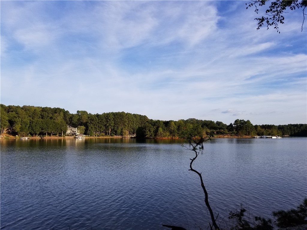 Lot 127-harbor Lot 127-harbor Point Harbor Ridge Road Seneca, SC 29672 - Photo 5 of 6 Gallery Image 5