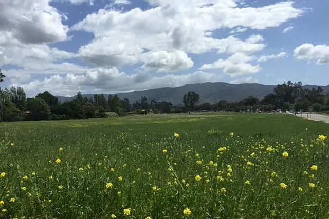 $14,000,000 | 1450 Maricopa Highway, Ojai, CA 93023