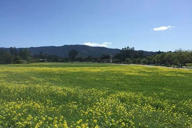 $14,000,000 | 1450 Maricopa Highway, Ojai, CA 93023