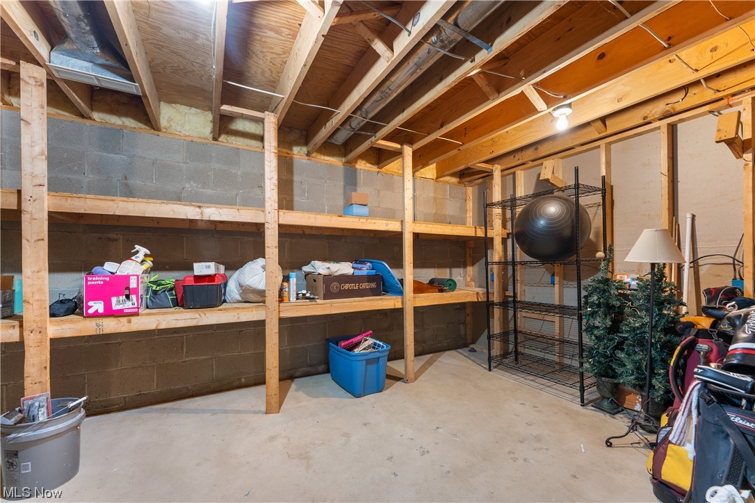5226 Johnnycake Ridge Northeast Canton, OH 44705 - Photo 31 of 32 Basement storage
