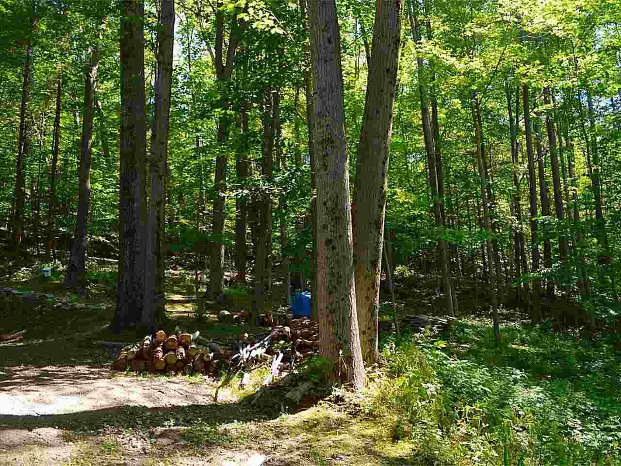 1398 East Hill Road Williston, VT 05495 - Photo 20 of 32
