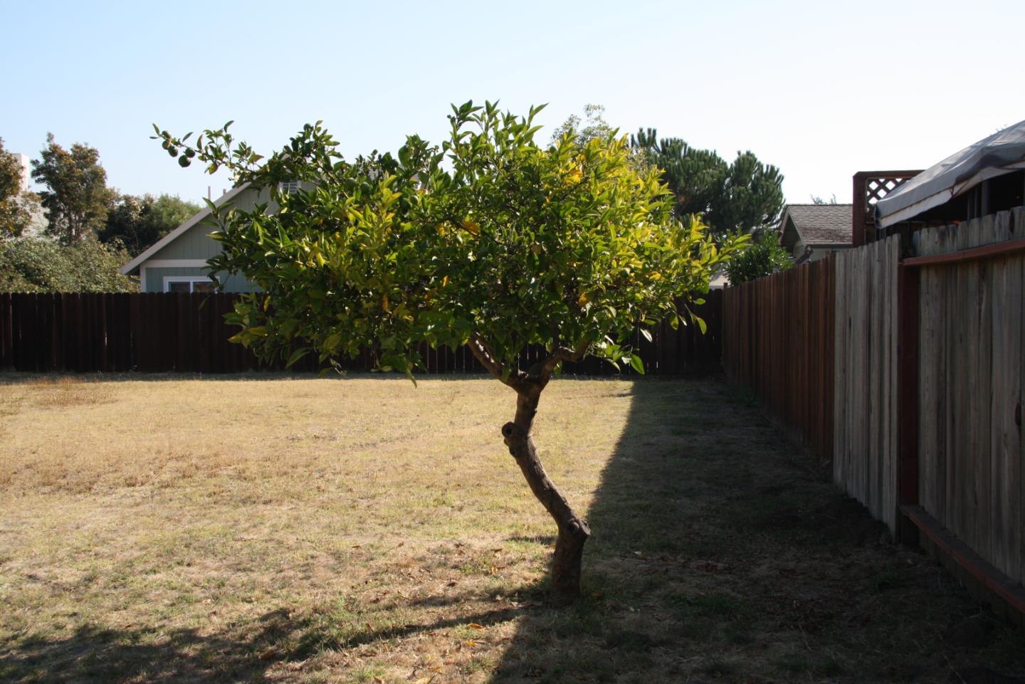 2220 South Rodeo Gulch Road Santa Cruz, CA 95062 - Photo 7 of 17 Gallery Image 7