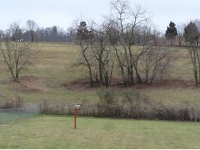 291 Leesburg Road Telford, TN 37690 - Photo 17 of 20 Backyard Left View