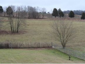 291 Leesburg Road Telford, TN 37690 - Photo 18 of 20 Backyard Right View