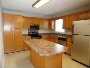 291 Leesburg Road Telford, TN 37690 - Photo 3 of 20 Stainless Appliances Island