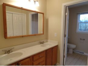 291 Leesburg Road Telford, TN 37690 - Photo 6 of 20 Master Bath Double Sinks