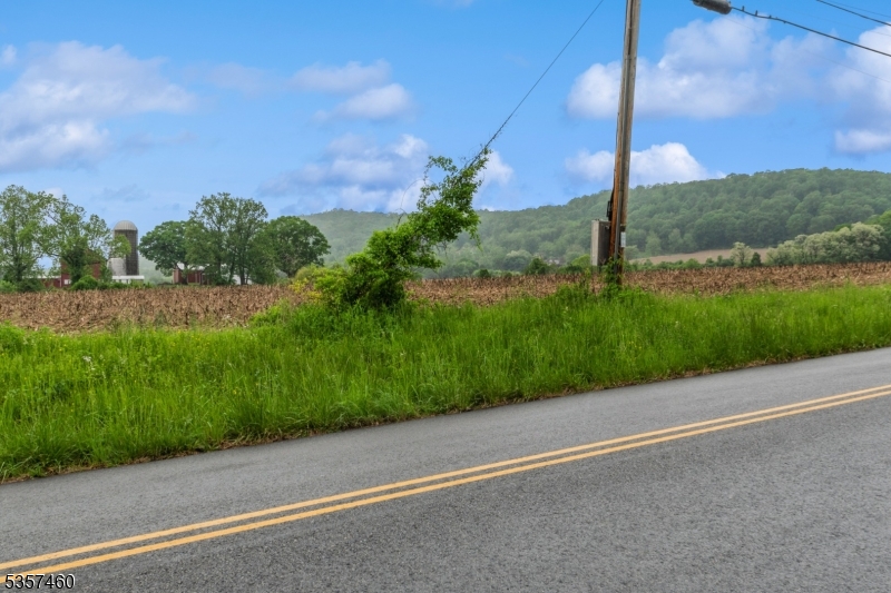 8 Millbrook Road Washington, NJ 07882 - Photo 23 of 24 a view of a field with a tree