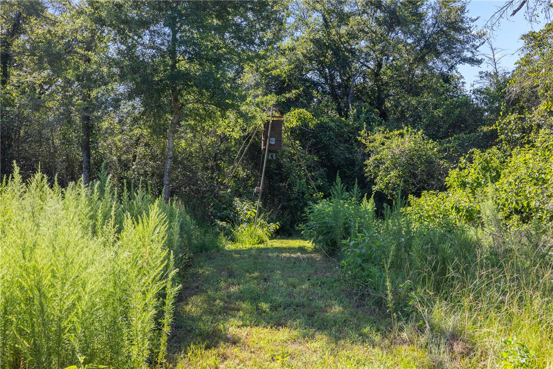 16135 Wilson Pasture Road Bryan, TX 77808 - Photo 14 of 29